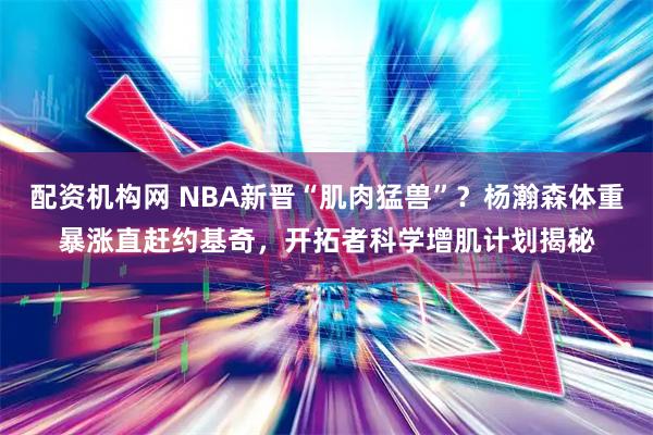 配资机构网 NBA新晋“肌肉猛兽”？杨瀚森体重暴涨直赶约基奇，开拓者科学增肌计划揭秘