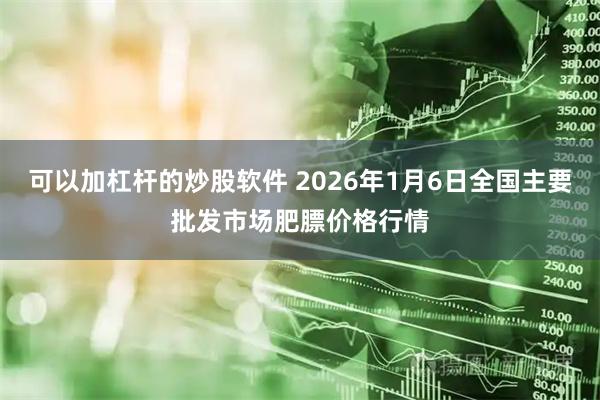 可以加杠杆的炒股软件 2026年1月6日全国主要批发市场肥膘价格行情